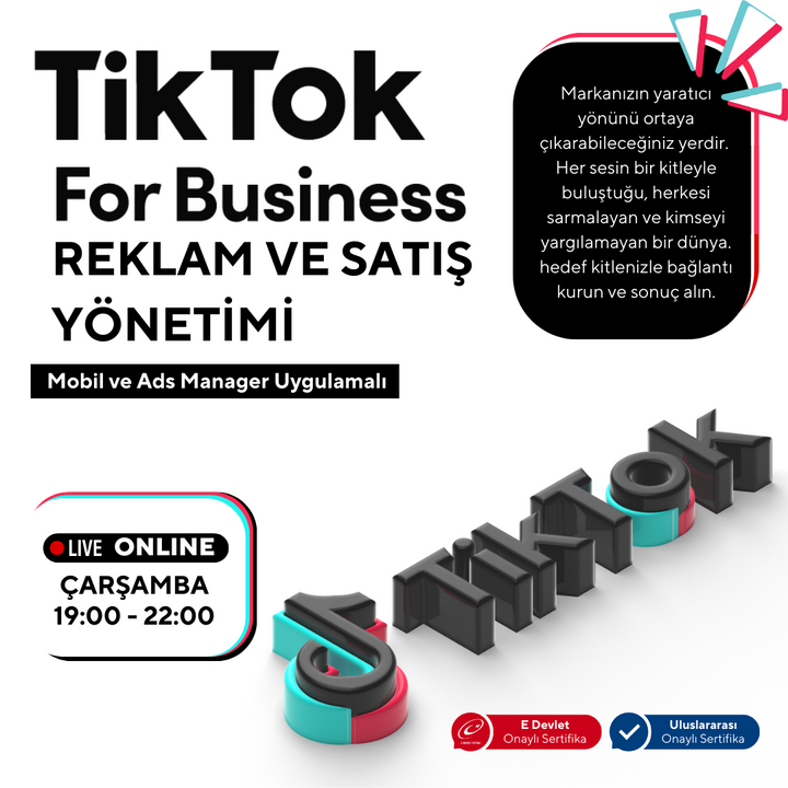 Tiktok For Business (Grow Your Business on Tiktok!)