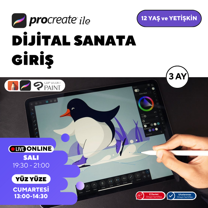 Introduction to Digital Art with Procreate (Ages 12+ and Adults)