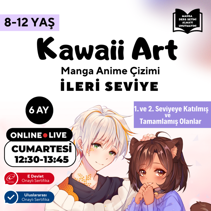 Kawaii Art Drawing Advanced Level (8-12 Years Old)