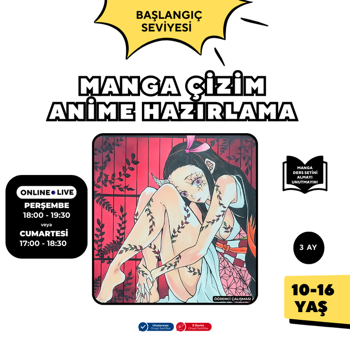 Manga Drawing and Anime Preparation (Ages 10-16)