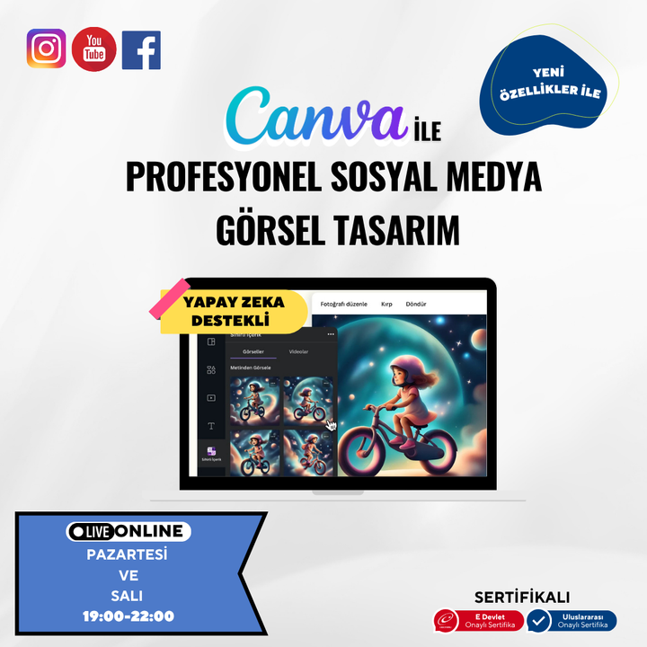 Professional Social Media Visual Design (Canva)