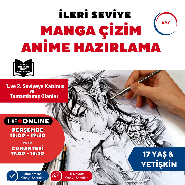 Manga Drawing and Anime Preparation (Advanced Level) (Ages 17 and Adults)