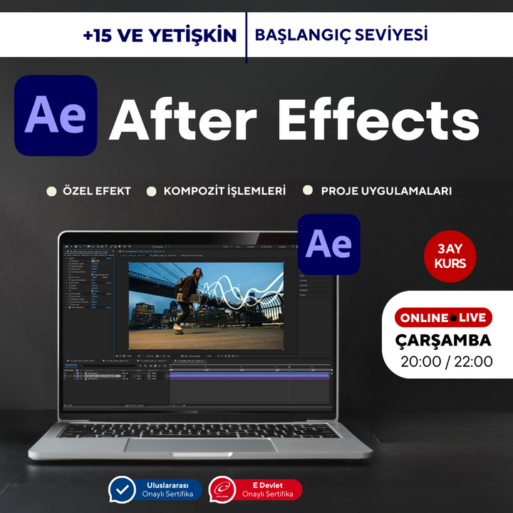 After Effects (Online) Basic Level 