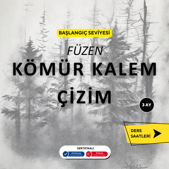 Charcoal Pencil Drawing (face to face) 