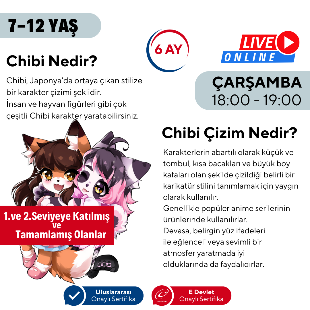 Chibi &amp; Furry Drawing (7-12 Years Old)(Advanced Level)