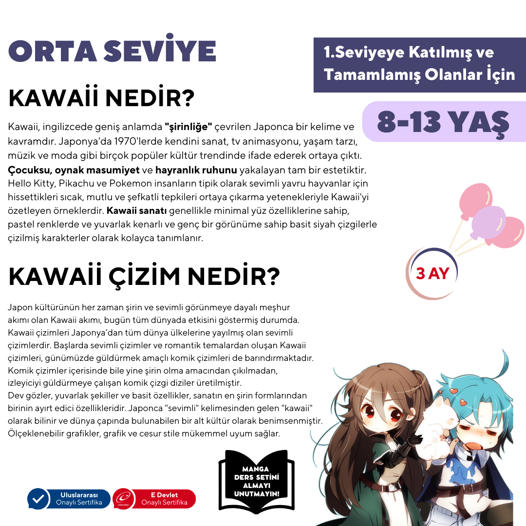 Kawaii Manga Çizim (8-13 Yaş)(Orta Seviye) - Yüz Yüze
