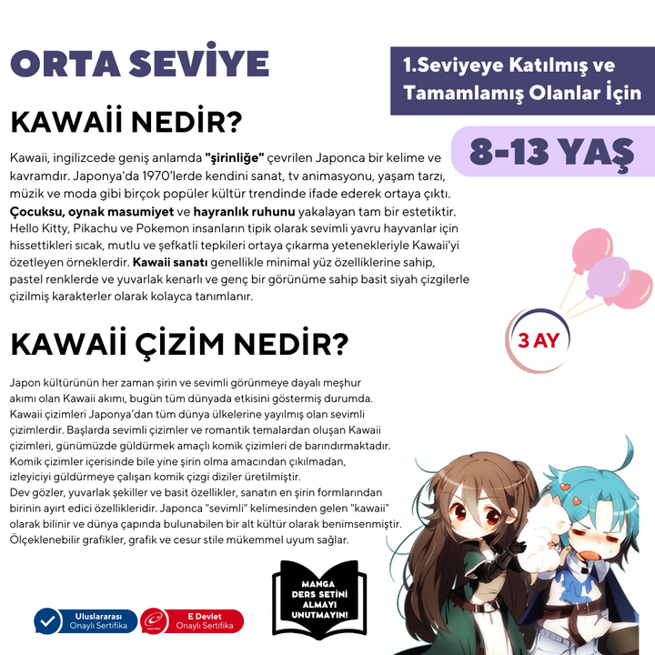 Kawaii Manga Çizim (8-13 Yaş)(Orta Seviye) - Yüz Yüze