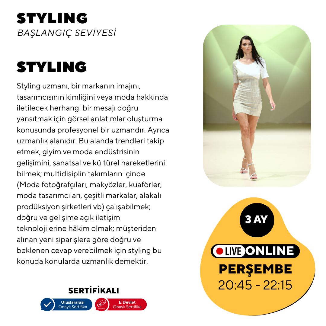 Styling - Beginner level
