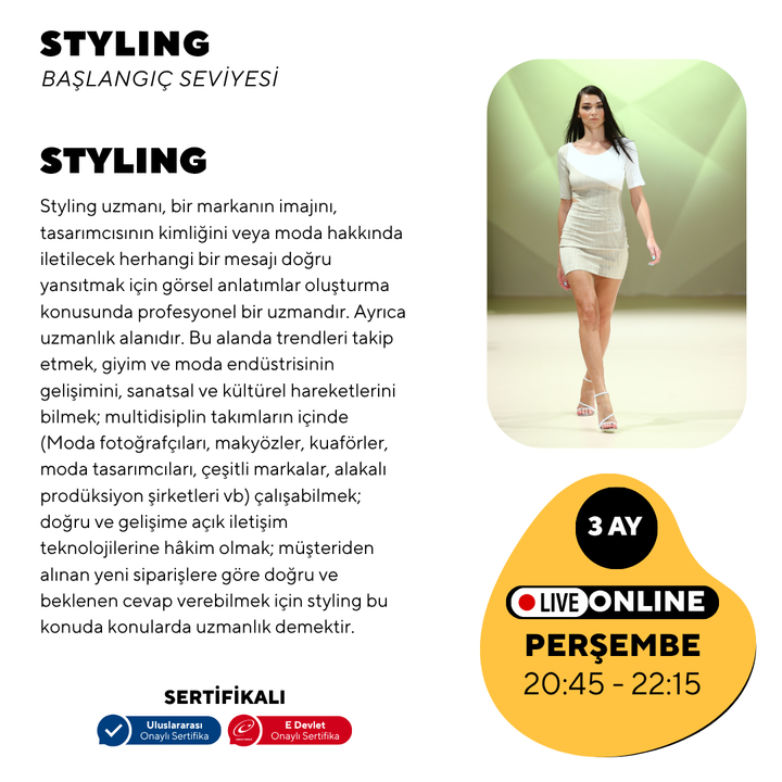 Styling - Beginner level