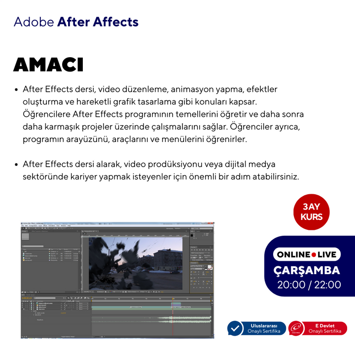 After Effects (Online) Basic Level 