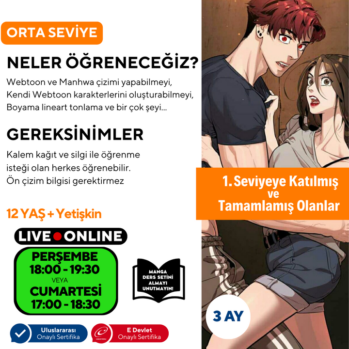 Webtoon ve Manhwa (Kore Çizgi Roman) Hazırlama (Orta Seviye)