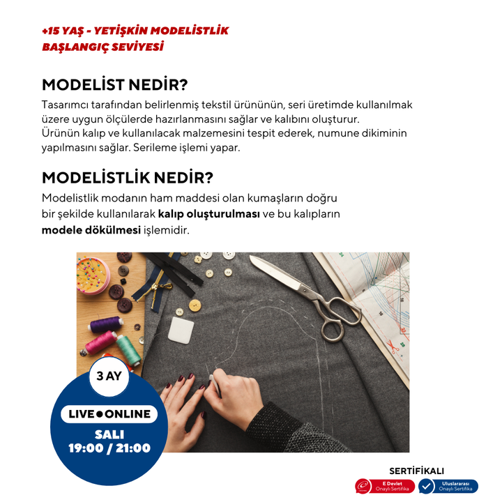 Modeling (15+ Years and Adults) - Beginner Level