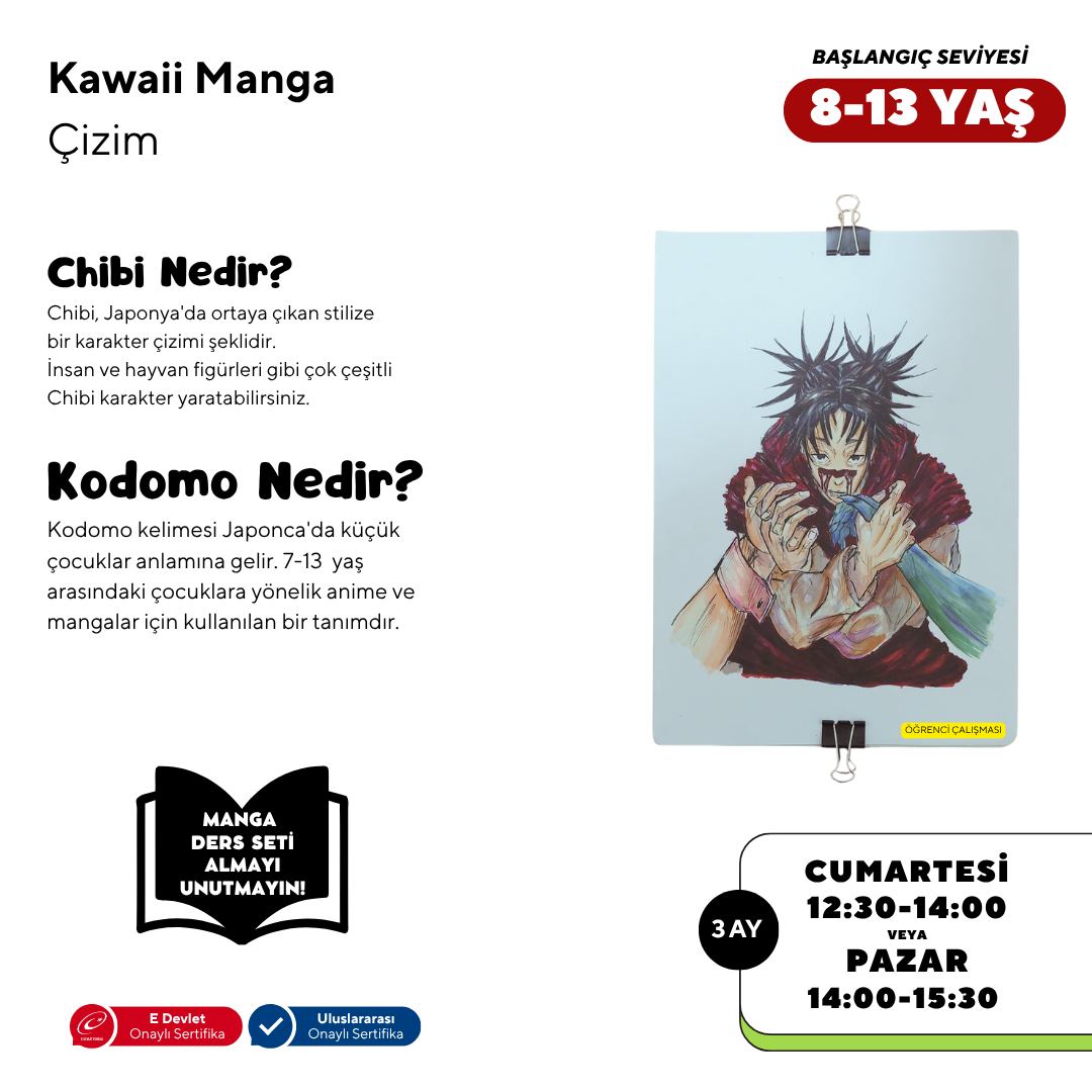 Kawaii Manga Çizim  (8-13 Yaş) - Yüz Yüze