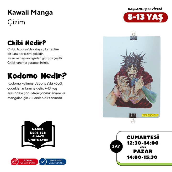 Kawaii Manga Çizim  (8-13 Yaş) - Yüz Yüze