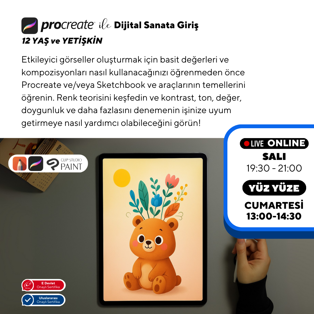 Introduction to Digital Art with Procreate (Ages 12+ and Adults)