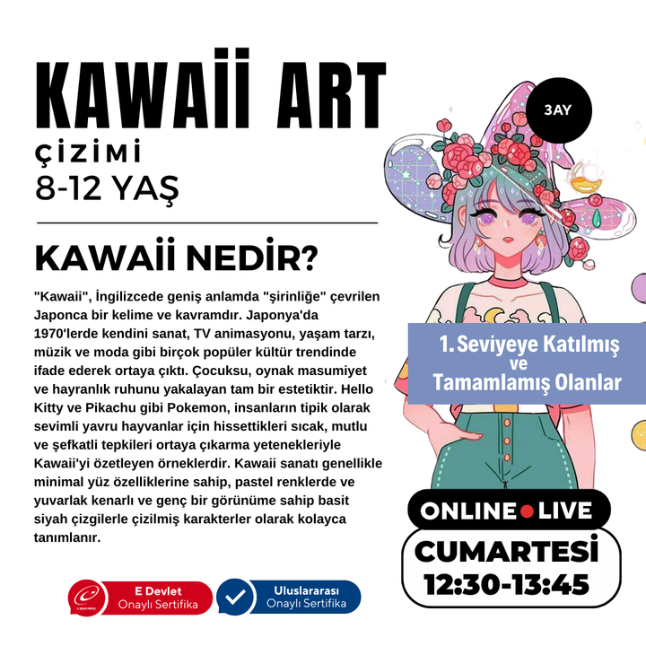 Kawaii Art Drawing Intermediate Level (8-12 Years Old)