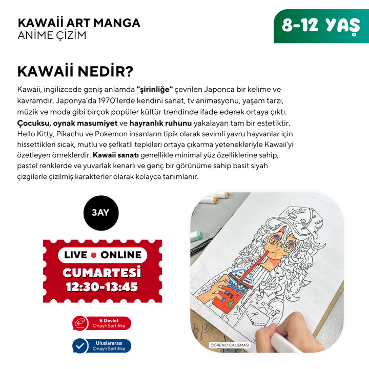 Kawaii Art Drawing (8-12 Years Old)