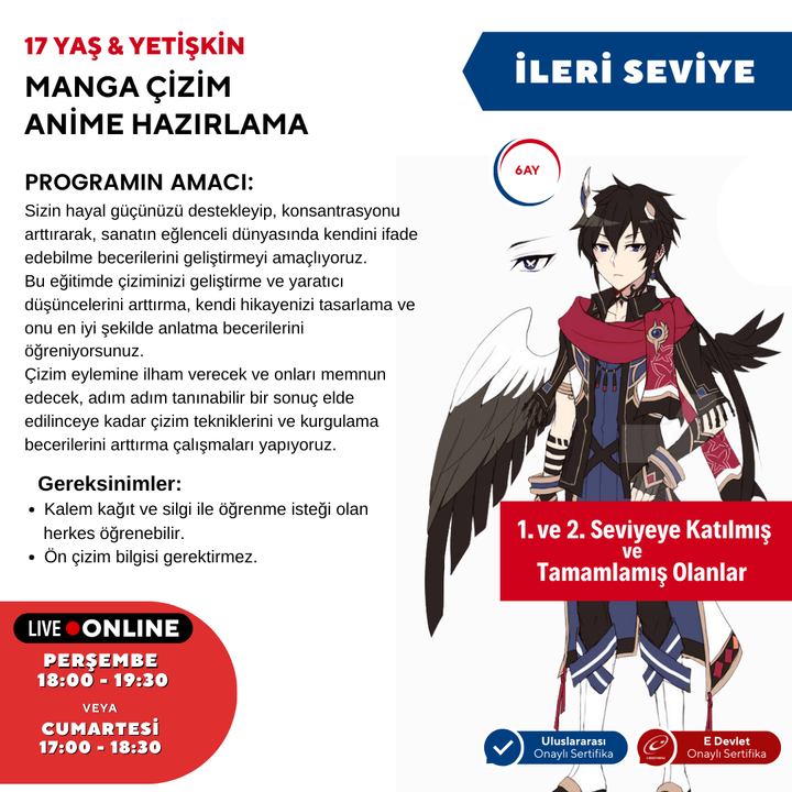 Manga Drawing and Anime Preparation (Advanced Level) (Ages 17 and Adults)