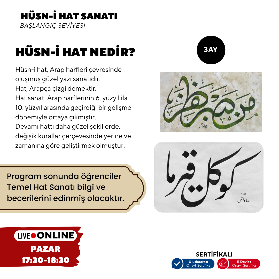 Hüsn-i Hat Sanatı  (Yetişkin)