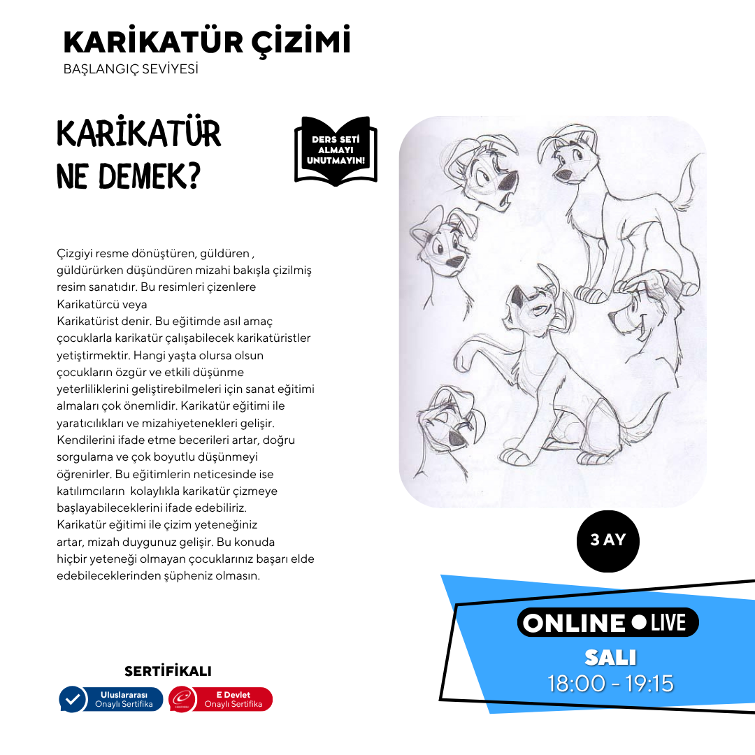 Cartoon Drawing (Ages 9-15)