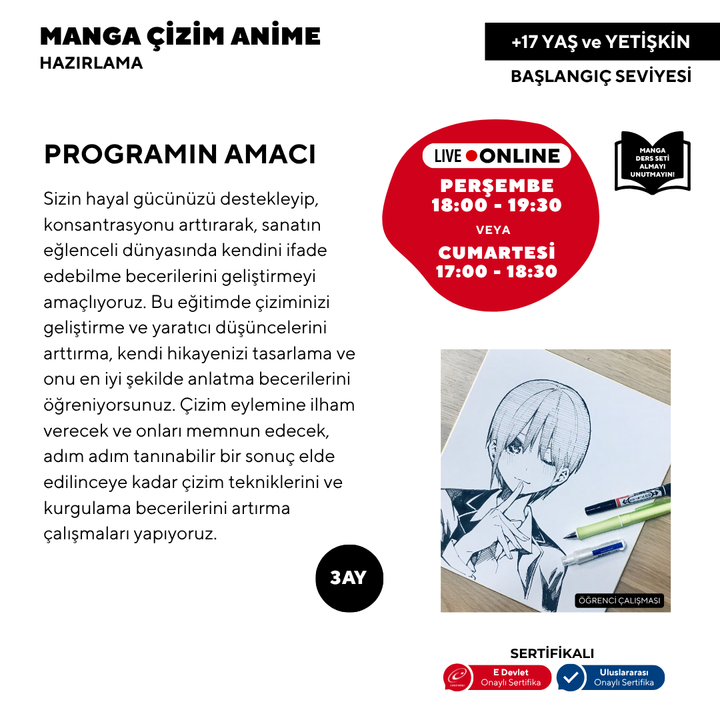 Manga and Anime (Ages 17 and Adults)