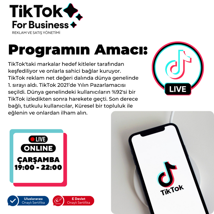 Tiktok For Business (Grow Your Business on Tiktok!)