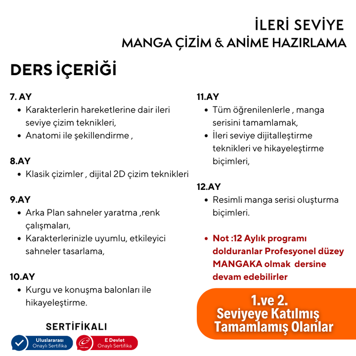 Manga Drawing and Anime Preparation (Advanced Level) (Ages 10-16) 