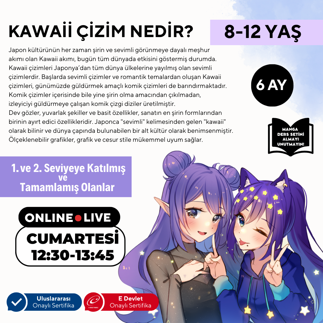 Kawaii Art Drawing Advanced Level (8-12 Years Old)