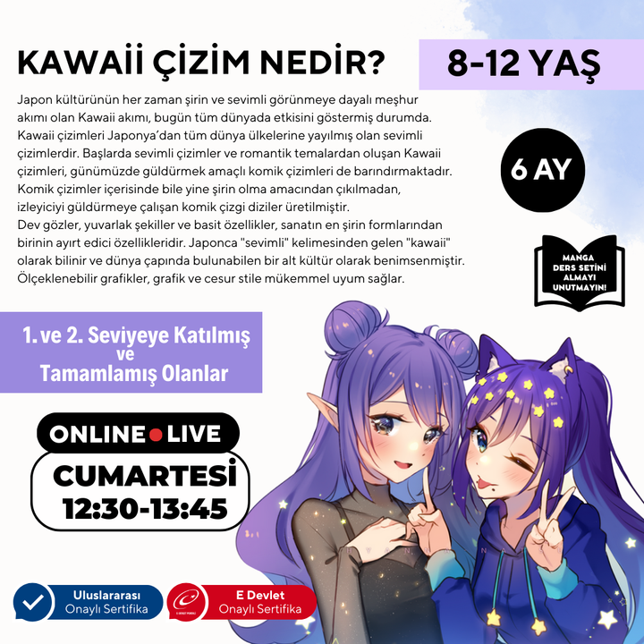 Kawaii Art Drawing Advanced Level (8-12 Years Old)