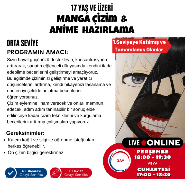 Manga Drawing and Anime Preparation (Intermediate Level) (Ages 17 and Adults)
