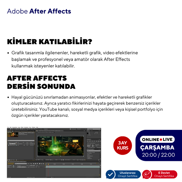 After Effects (Online) Basic Level 