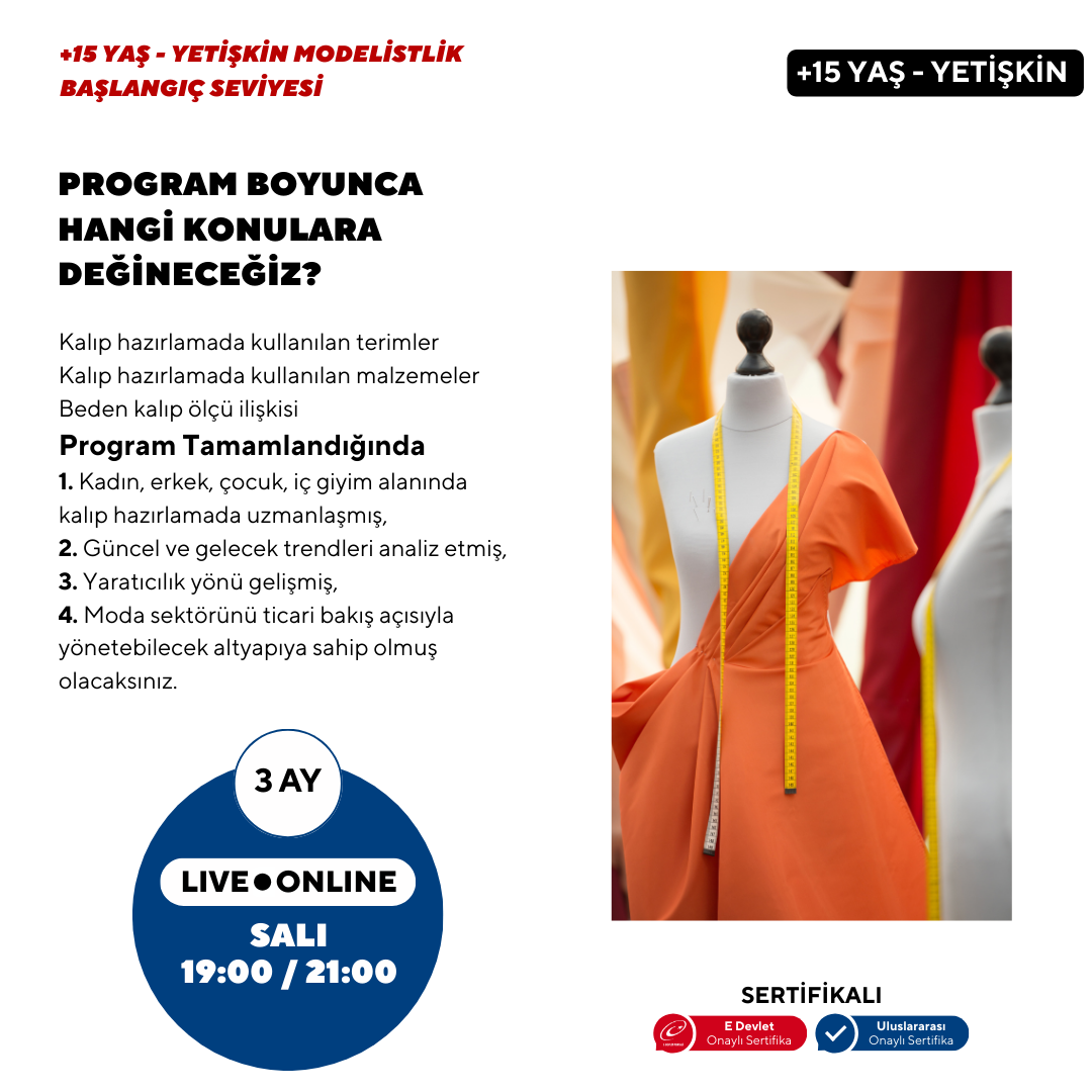 Modeling (15+ Years and Adults) - Beginner Level