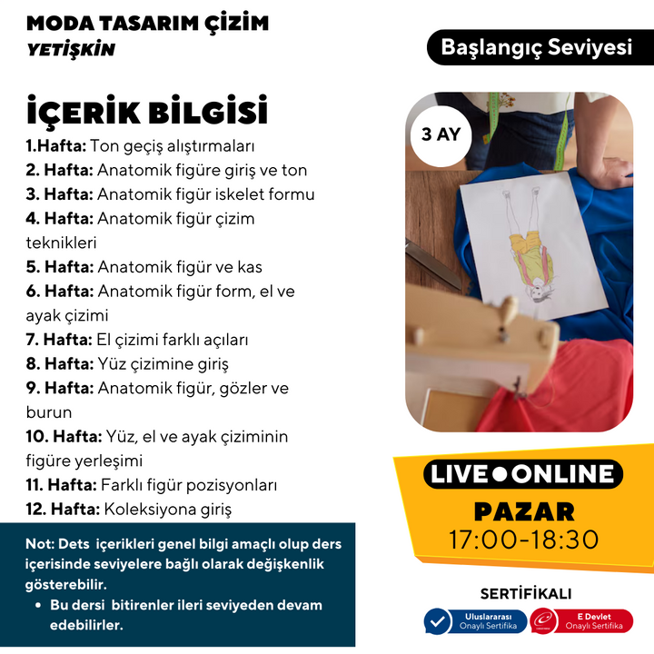 Fashion Design and Drawing Lessons (Adult) 