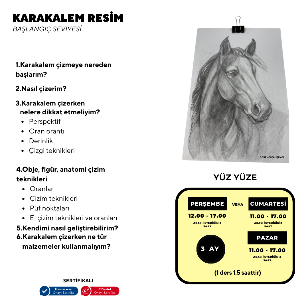 Pencil Drawing - Face to Face