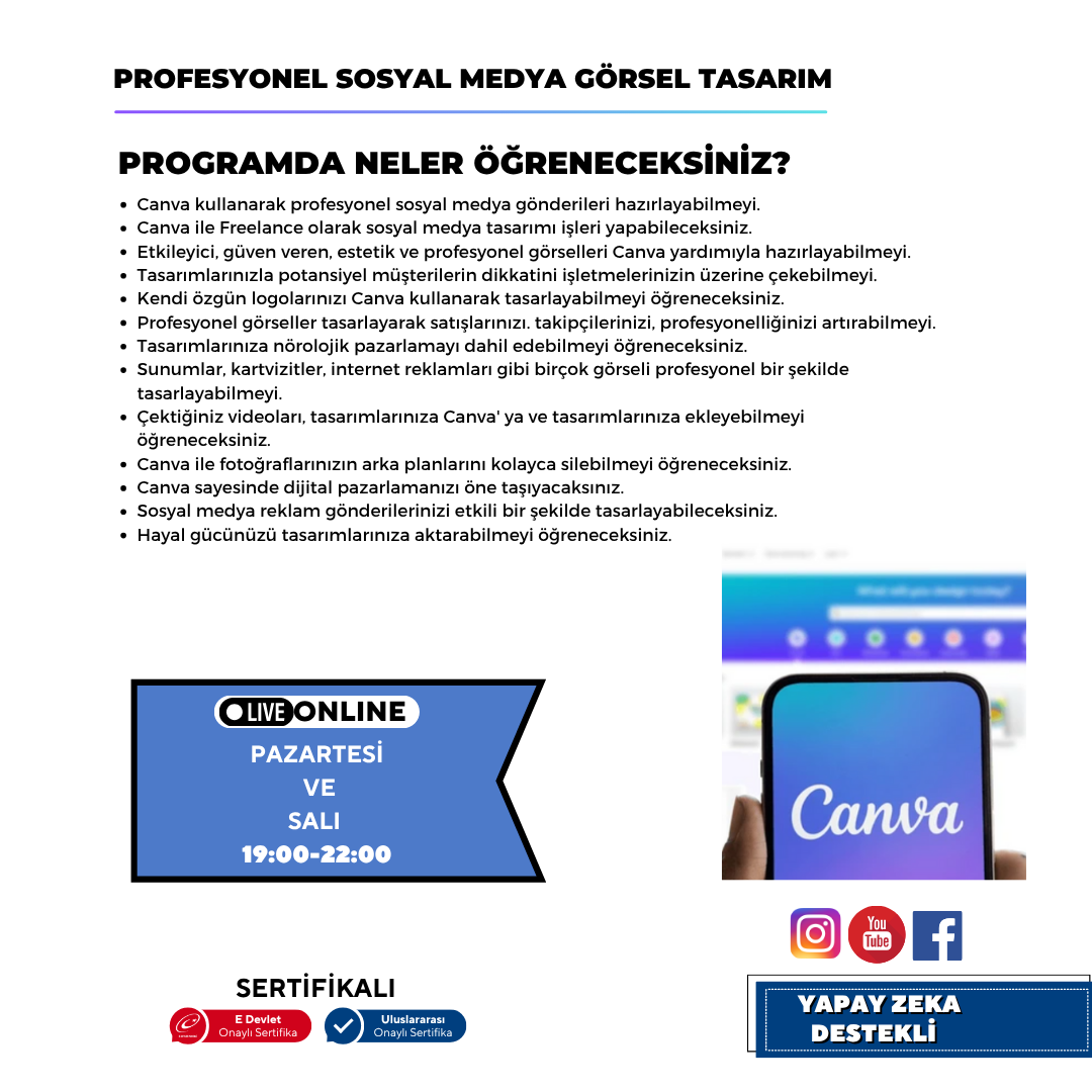 Professional Social Media Visual Design (Canva)