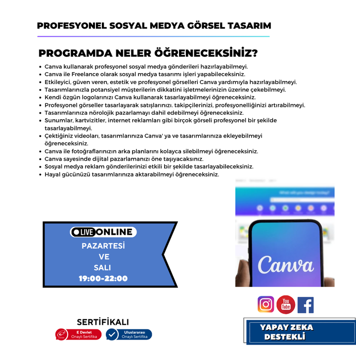 Professional Social Media Visual Design (Canva)