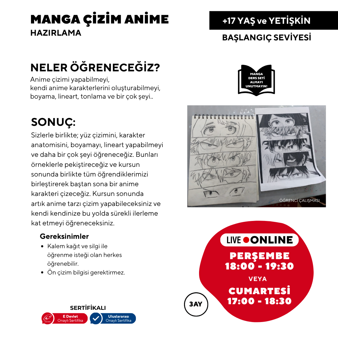 Manga and Anime (Ages 17 and Adults)
