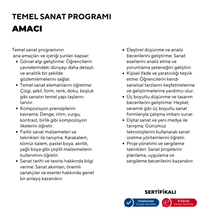 Temel Sanat  - Yüz yüze