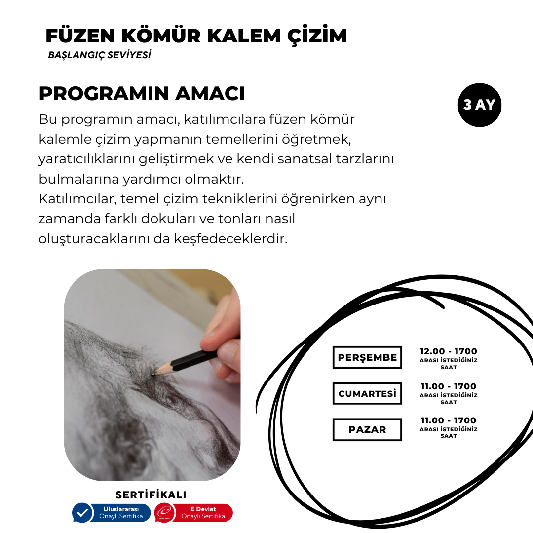 Charcoal Pencil Drawing (face to face) 