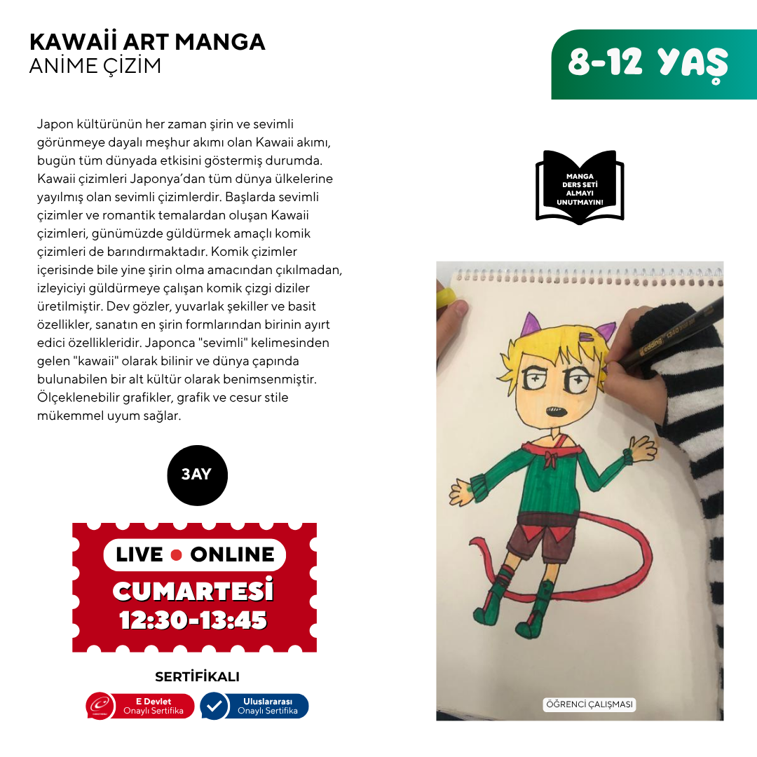 Kawaii Art Drawing (8-12 Years Old)