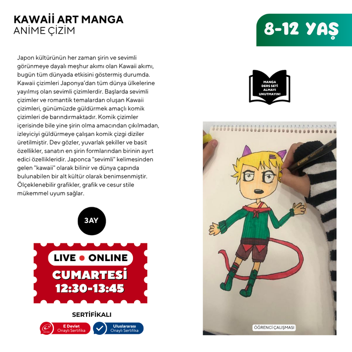 Kawaii Art Drawing (8-12 Years Old)