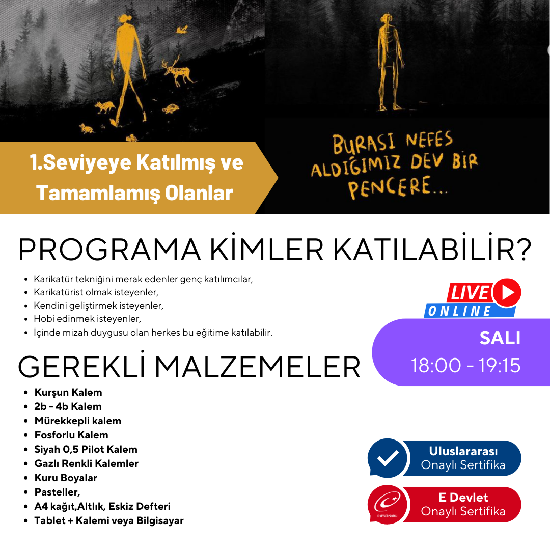 Cartoon Drawing Level 2 (Ages 9-15)