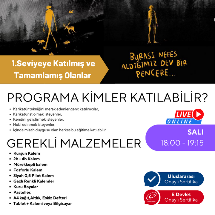 Cartoon Drawing Level 2 (Ages 9-15)