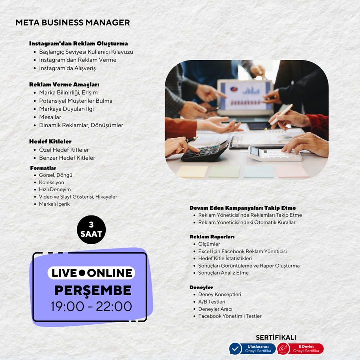 Meta Business Manager (Panel Management) 