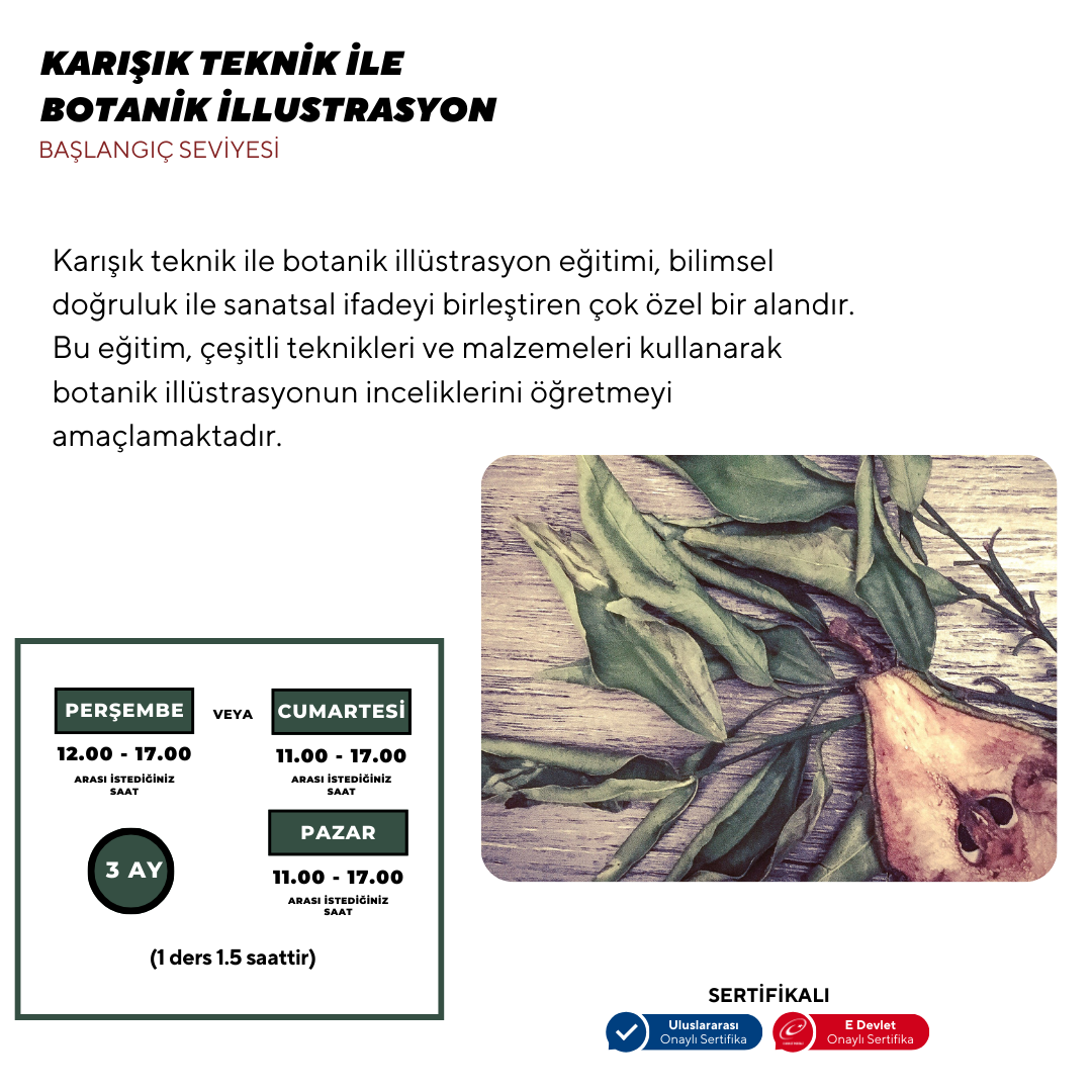 Botanical Illustration - Face to Face 