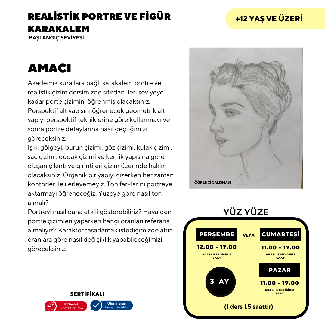 Realistic Portrait and Figure Pencil Drawing - Face to Face