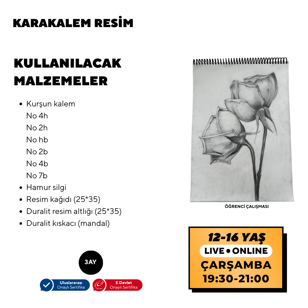 Karakalem Resim  (12-16 Yaş)