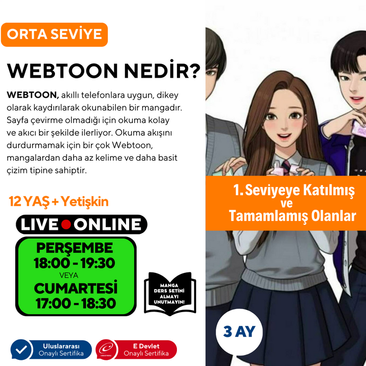 Webtoon ve Manhwa (Kore Çizgi Roman) Hazırlama (Orta Seviye)