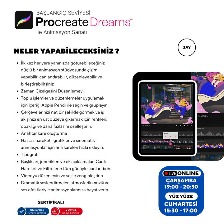 Procreate Dreams - Beginner Level - Online 