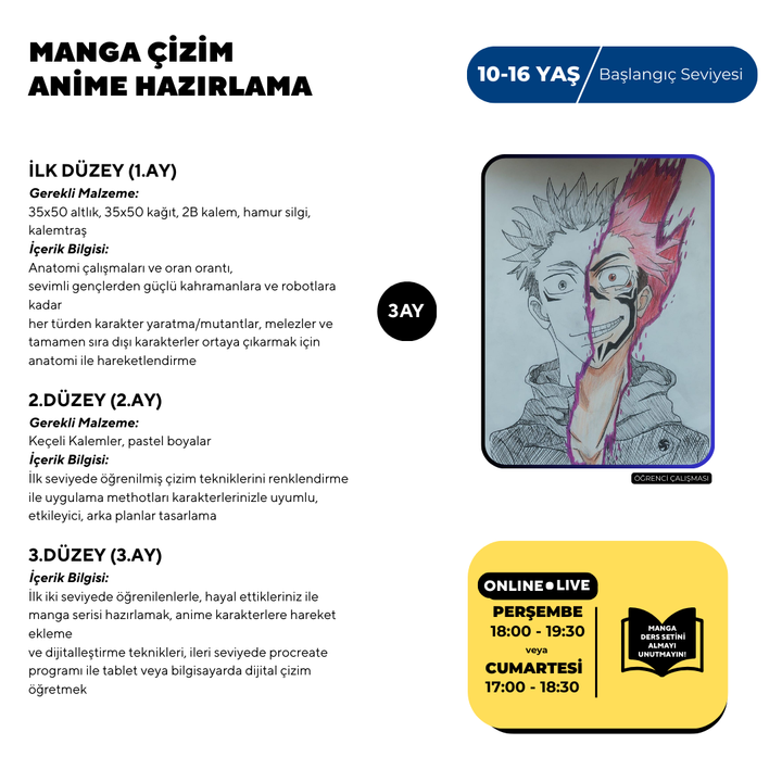 Manga Drawing and Anime Preparation (Ages 10-16)